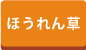 葉物野菜
